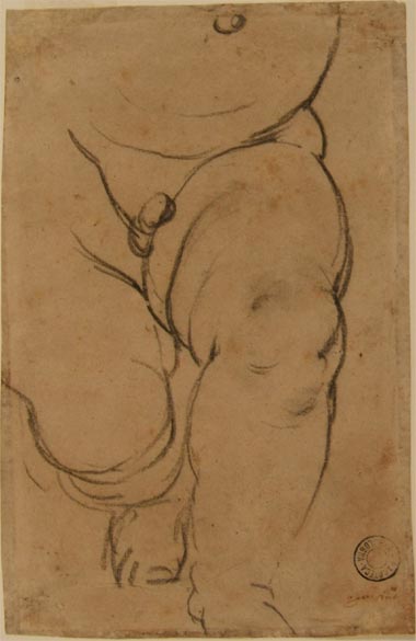 Carracci Agostino-Studio per la parte inferiore del corpo di un putto